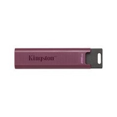 Kingston DataTraveler Max 1TB USB 3.2 Gen 2 USB stick Lilla